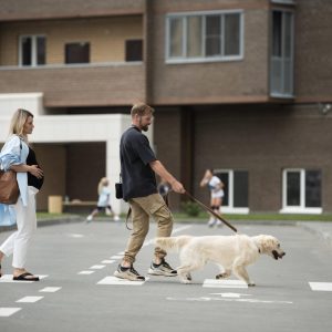 Módulos 2 y 3 / nivel A1
